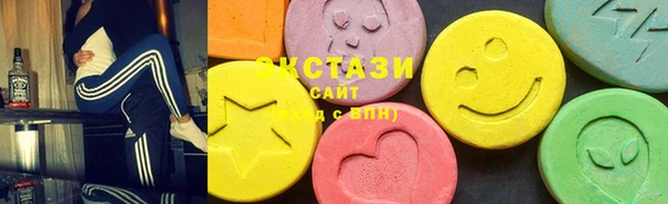 ECSTASY Бородино